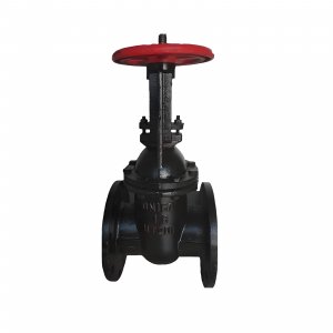 手動(dòng)閘閥Z41T-16 DN300排水鑄鐵閥門(mén)	