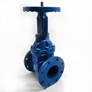 手動(dòng)閘閥Z41T-16 DN50/DN65廠家直銷，上海發(fā)