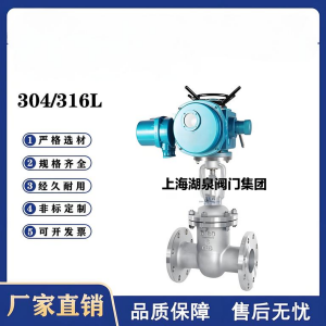 Z941W-16P，DN250，CF8/F304不銹鋼電動(dòng)閘閥